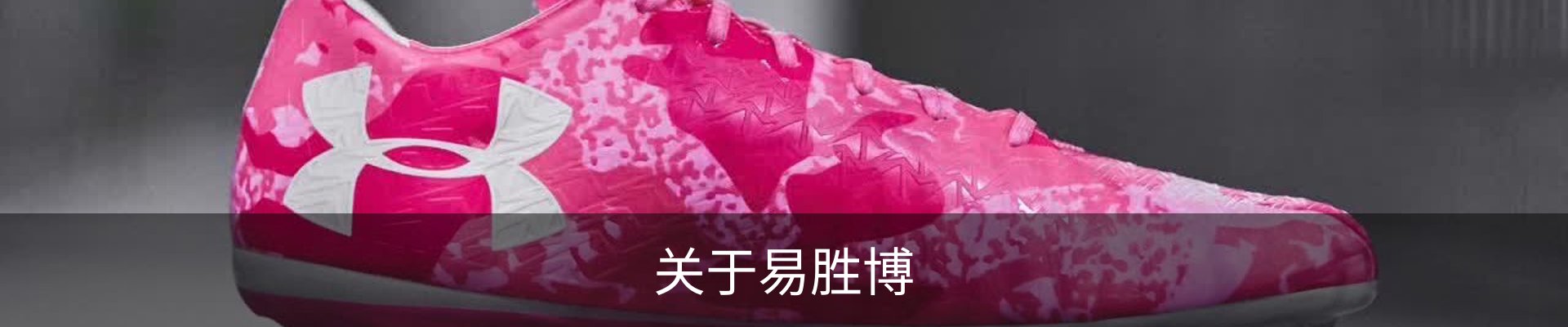 关于易胜博